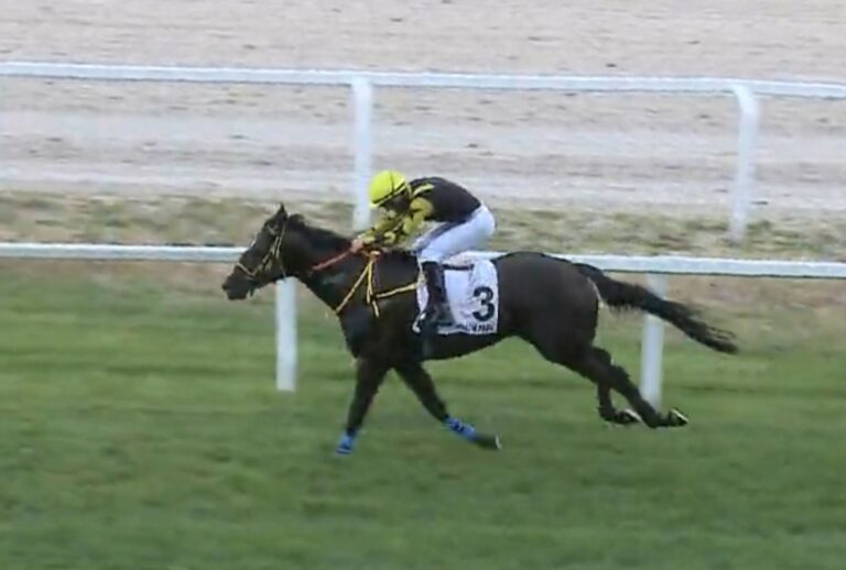 Screenshot_20250804_165031_DuckDuckGo