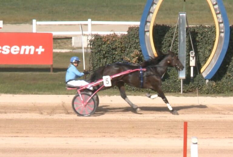 Screenshot_20251013_155244_DuckDuckGo