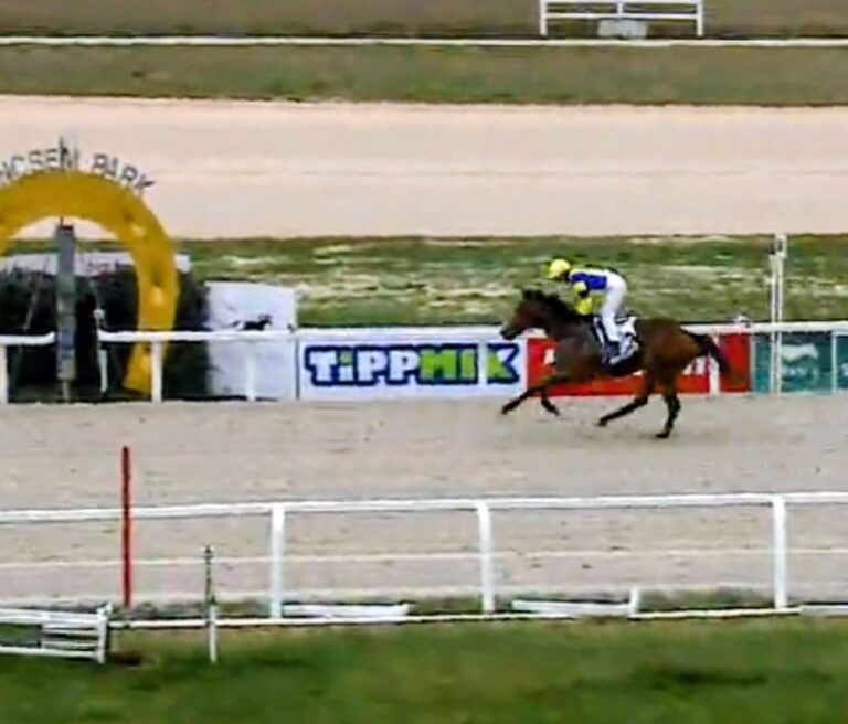 Megnyitó Verseny Ring That Bell