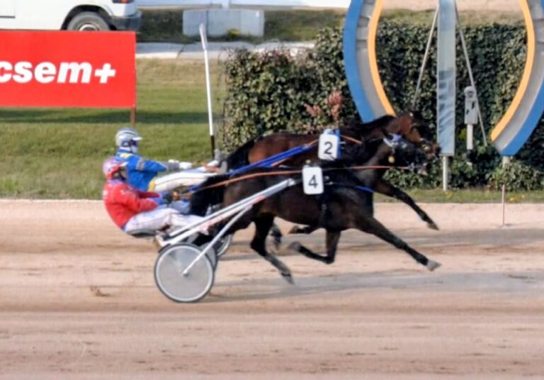 Francesca - Fiona TIM