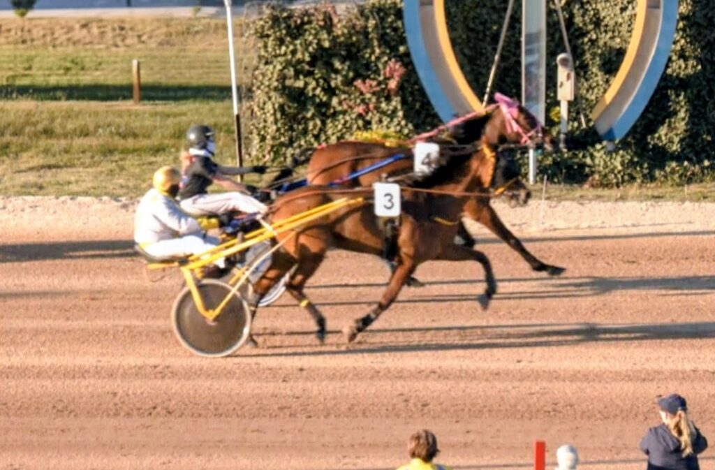 Screenshot_20260420_203523_DuckDuckGo~2