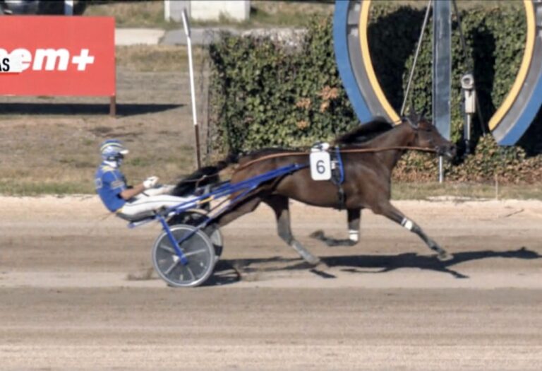 Daytona Spav az Őszi Kanca Díj győztese – immár másodszor!