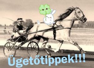 Ügetőtippek nyuszis3